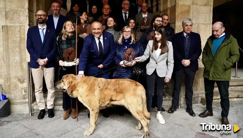 León acoge los Premios Aventura Trashumante, que reconocen el compromiso con la conservación del medio rural