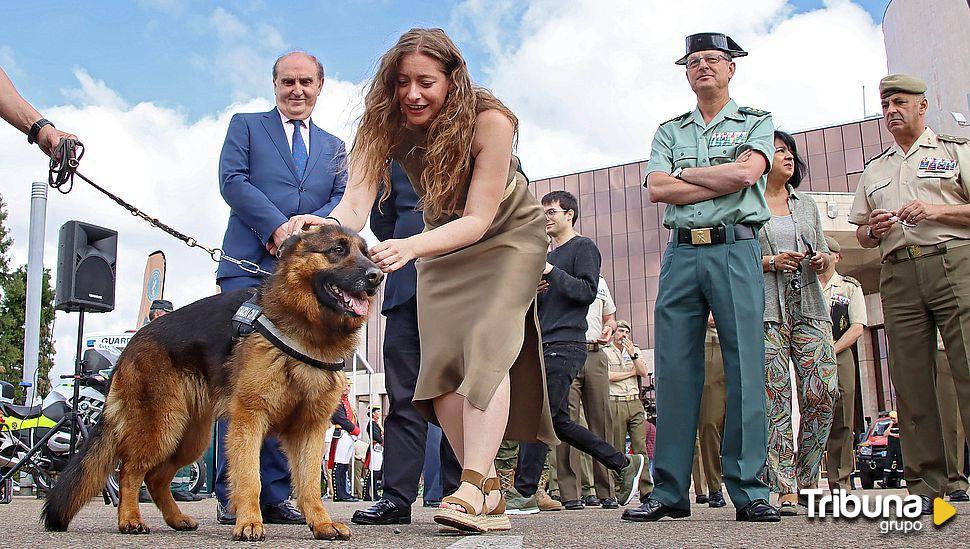 Día de las Fuerzas Armadas con una exposición en la explanada de los Pendones Leoneses