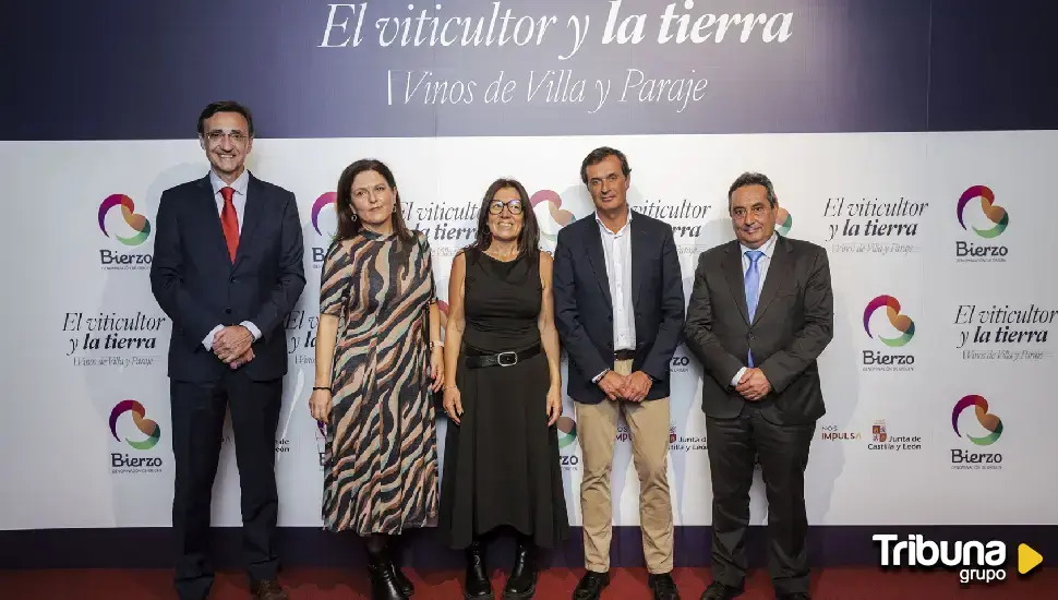 El viticultor y la tierra, el documental que muestra la singular pirámide de los vinos de la DO Bierzo