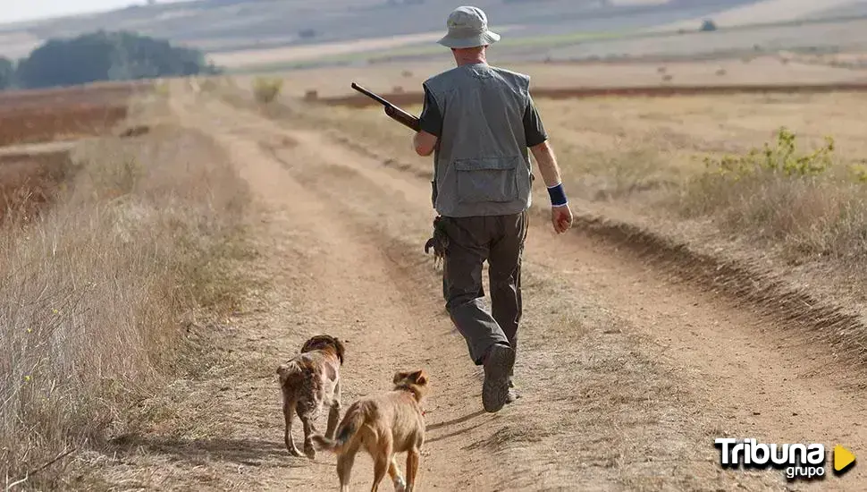 Santa Cristina de Valmadrigal acoge el Campeonato de Castilla y León de caza menor con perro