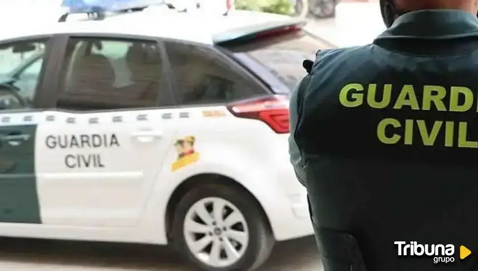 Dos detenidos por estafar más de 250.000 euros a una anciana de Boñar