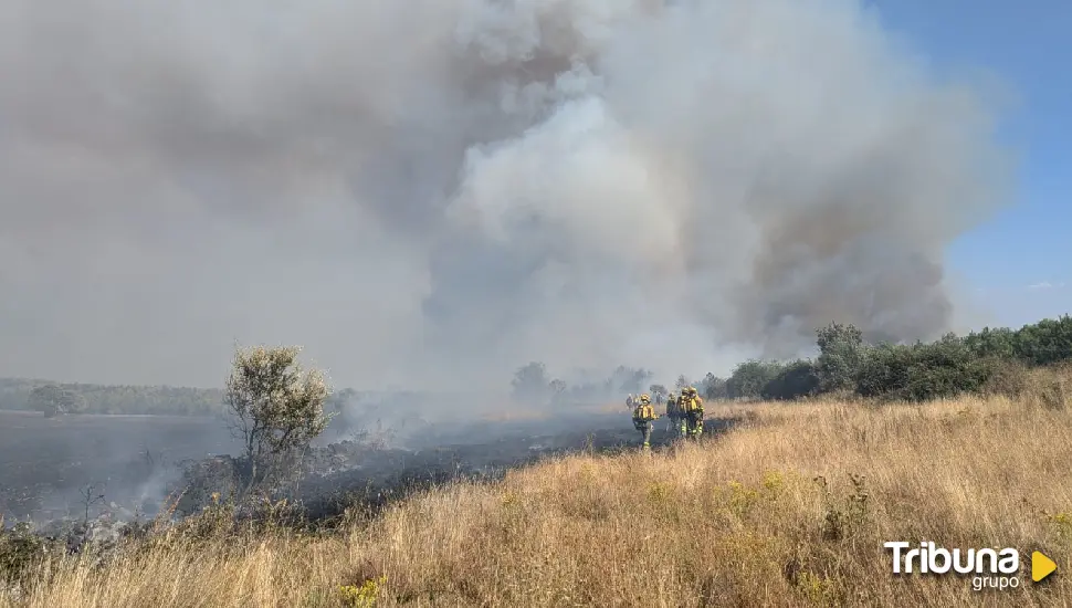 Asciende a nivel 2 el incendio forestal de Castrillo de los Polvazares, y nivel 1 en Villablino