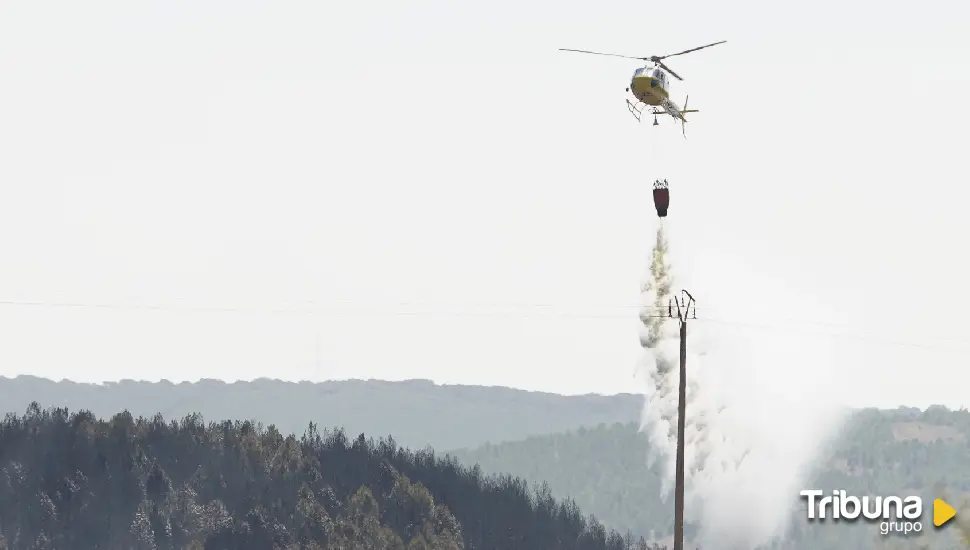 El incendio forestal de Castrillo de los Polvazares quemó 800 hectáreas de pasto y matorral