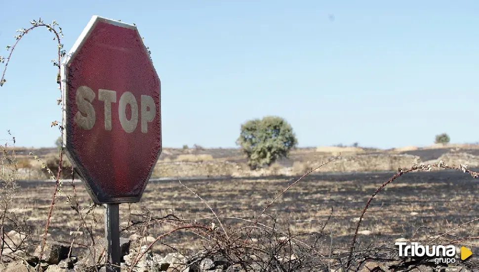 Detenido en Foncebadón un peregrino como presunto autor del incendio de Castrillo 