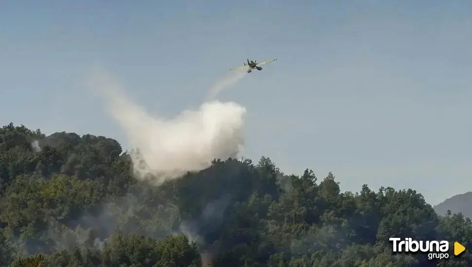 Sospechas de que tras el incendio de Brañuelas, con 450 hectáreas arrasadas, esté la mano del hombre