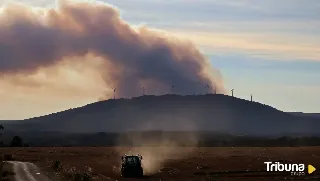 La imprudencia de un anciano con un ahumador de colmenas pudo causar el incendio de Brañuelas 