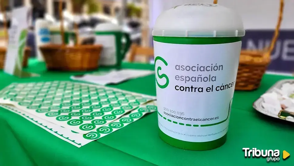 La Asociación Española contra el Cáncer de León se une al Día Mundial de la Investigación con una cuestación