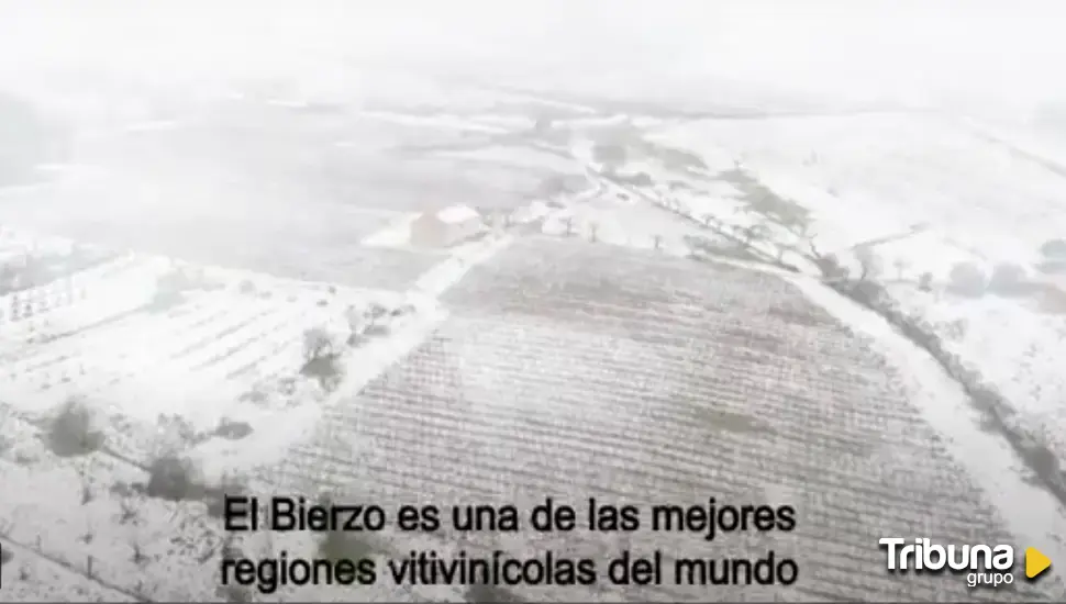 El documental 'El viticultor y la tierra', que retrata los secretos de los vinos de la DO Bierzo, ya está en Filmin