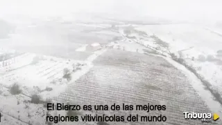 El documental 'El viticultor y la tierra', que retrata los secretos de los vinos de la DO Bierzo, ya está en Filmin